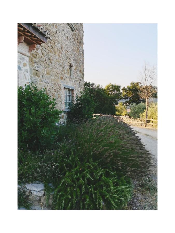 Podere Paradiso Villa Magione Exteriör bild