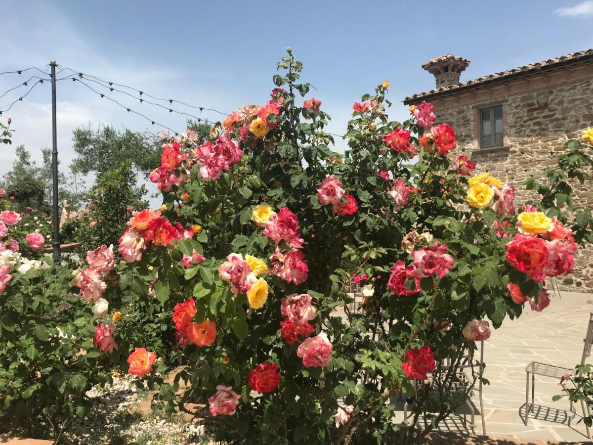 Podere Paradiso Villa Magione Exteriör bild